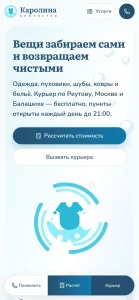 Химчистка «Каролина»